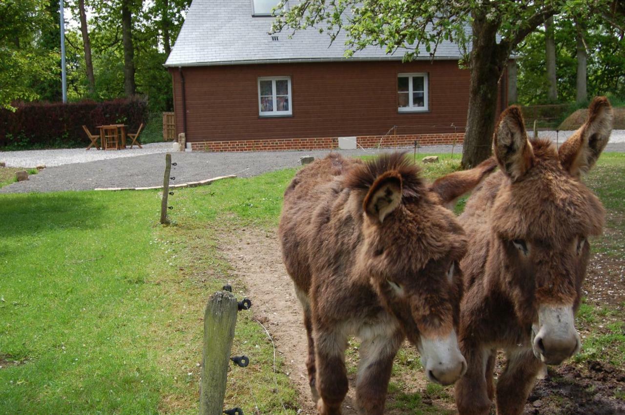 Gites La Charretterie Ourville-en-Caux エクステリア 写真